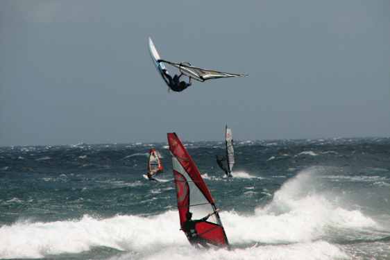 Windsurfere