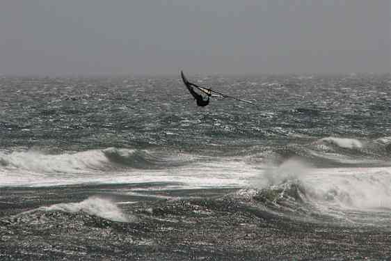 Windsurfer på vandet