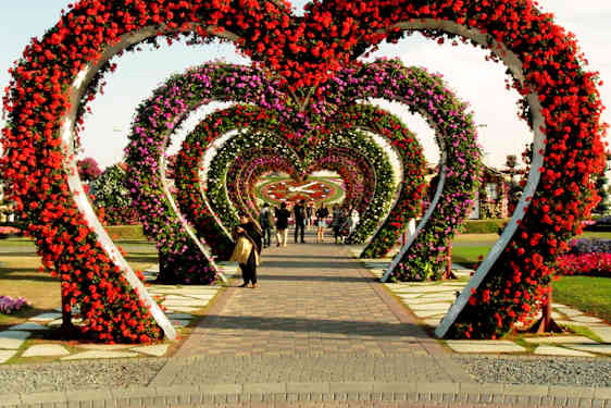 Miracle Garden