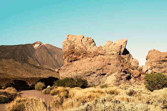 Naturen på Tenerife