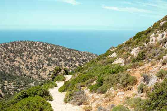 Vandresti på Kreta