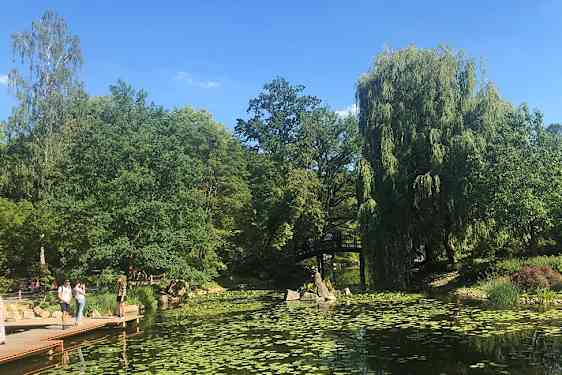 Skovpark perfekt til en picnic