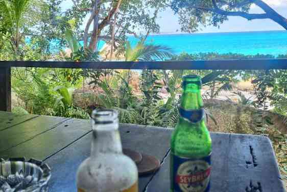 Udsigt fra junglebaren