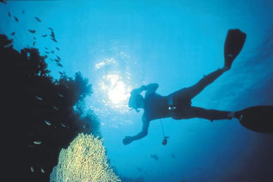 Dykkere i vandet på Cypern