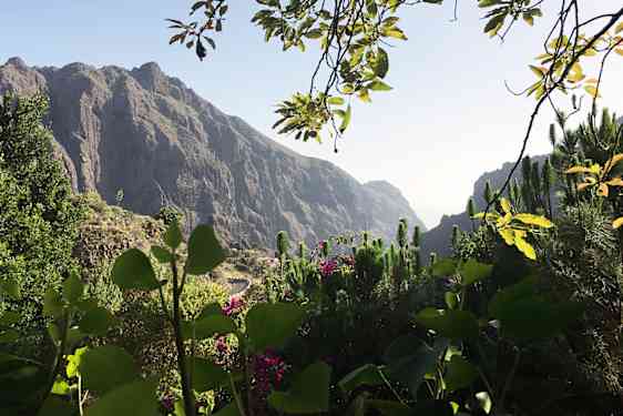 Mandal de Masca - Omgivelser