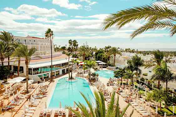 Søpapegøje. Foto: Unsplash