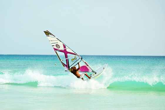Windsurfer