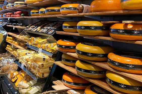 Oste på rad og række