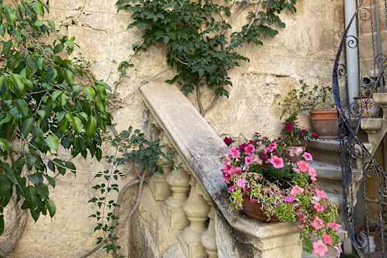 Slotshave med en trappe og fine planter