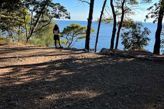 Skygge under træerne