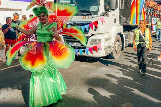 For mange er Pride-paraden årets højdepunkt.