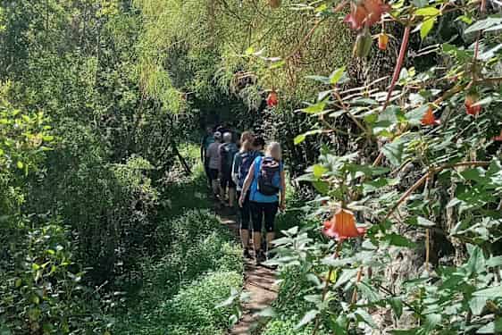 Vandring på Gran Canaria