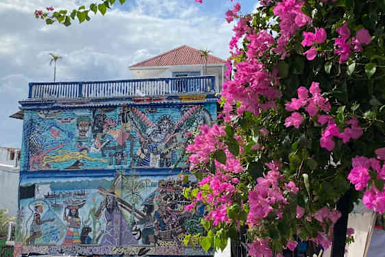 Gadekunst og smukke blomster i Panama City