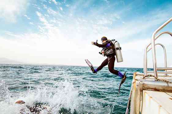 Dykker springer i vandet