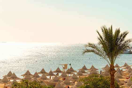 Strand og parasoller i Egypten