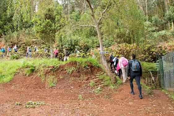 vandring på Madeira