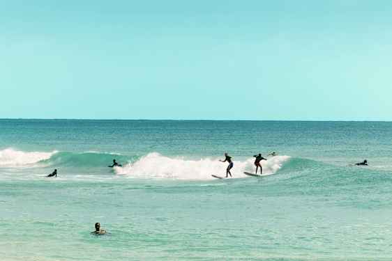 Surfere i vandet