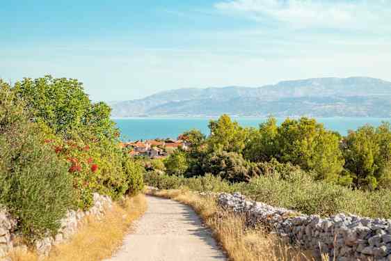 Brac
