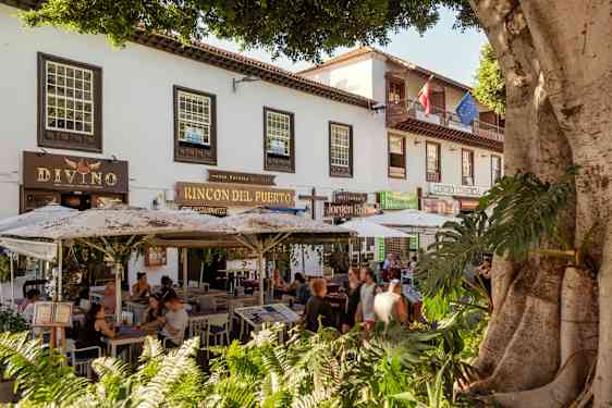 Hyggelig restaurant, Puerto De La Cruz