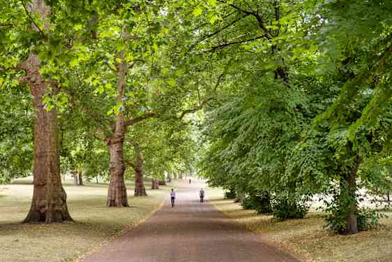 Park i London