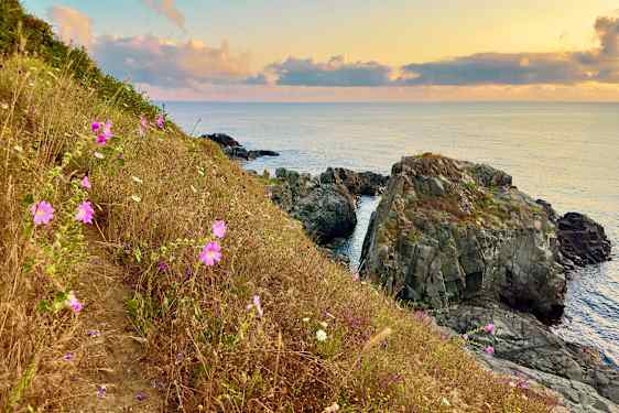 Klipper og blomster i Bulgarien