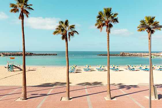 Palmer på Playa de Amadores