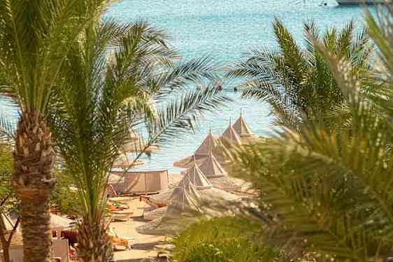 Palmer og strand i Egypten