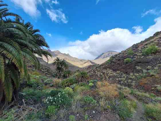 Landscape view in Gran Canaria