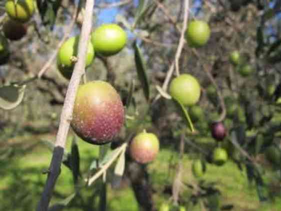 Reykjavik. Foto: Unsplash