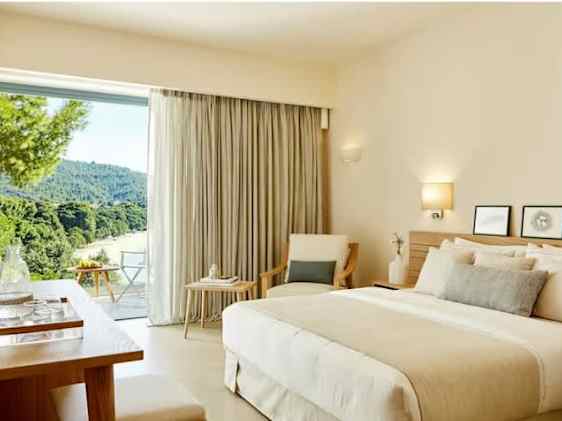 Søpapegøje. Foto: Unsplash