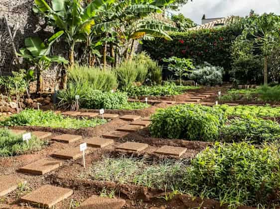 Kirke. Foto: Unsplash