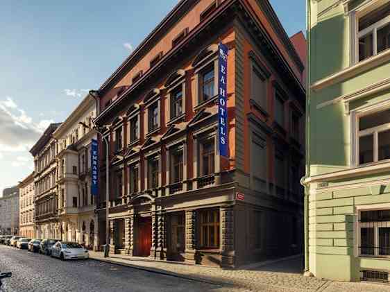 Søpapegøje. Foto: Unsplash
