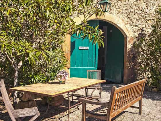 Søpapegøje. Foto: Unsplash