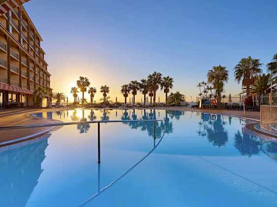 Søpapegøje. Foto: Unsplash