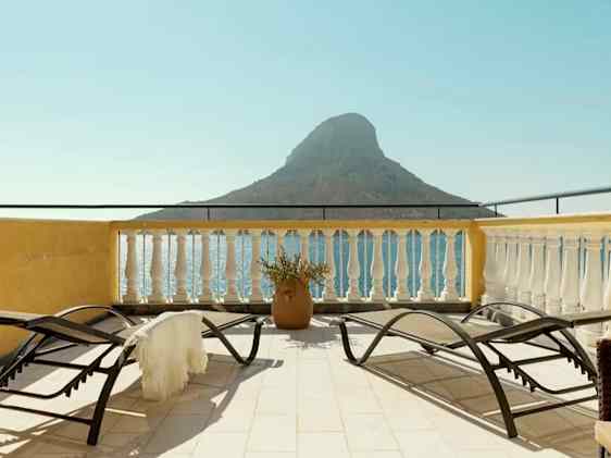 Søpapegøje. Foto: Unsplash