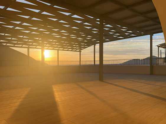 Søpapegøje. Foto: Unsplash