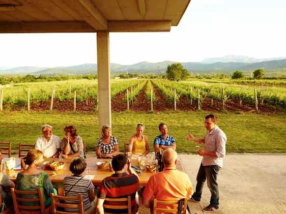 Vinsmagning