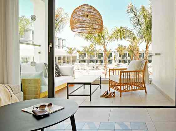 Søpapegøje. Foto: Unsplash