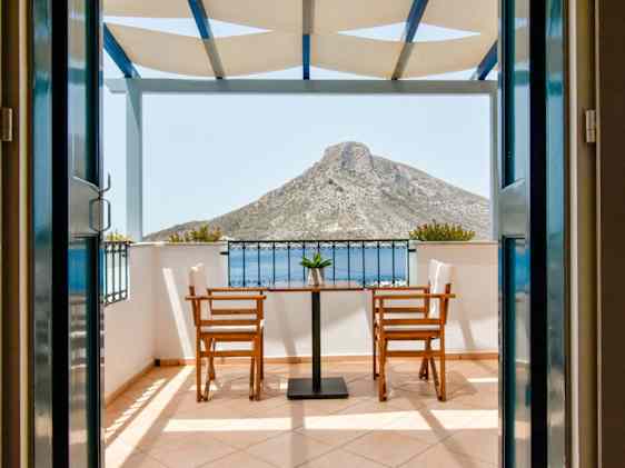 Søpapegøje. Foto: Unsplash