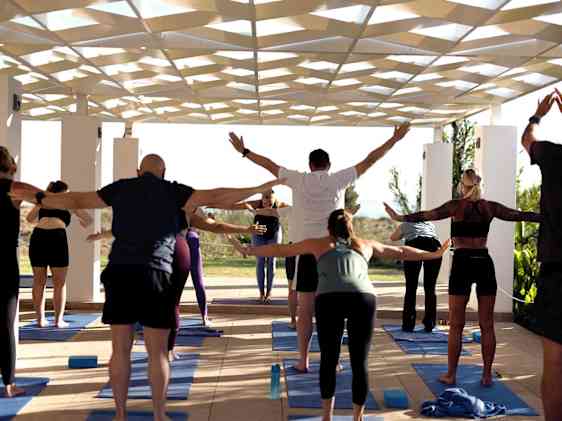 Søpapegøje. Foto: Unsplash