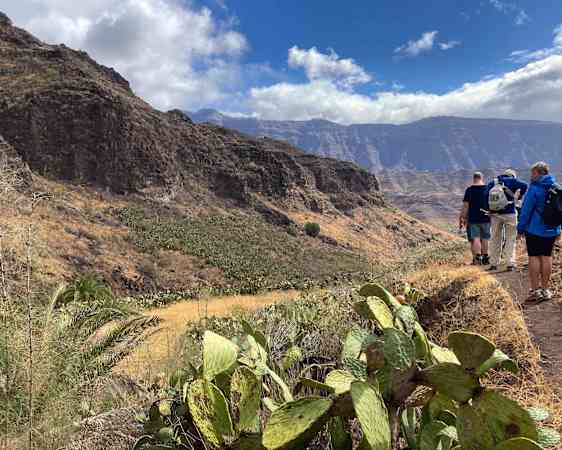 Hikers enjoying landscape view