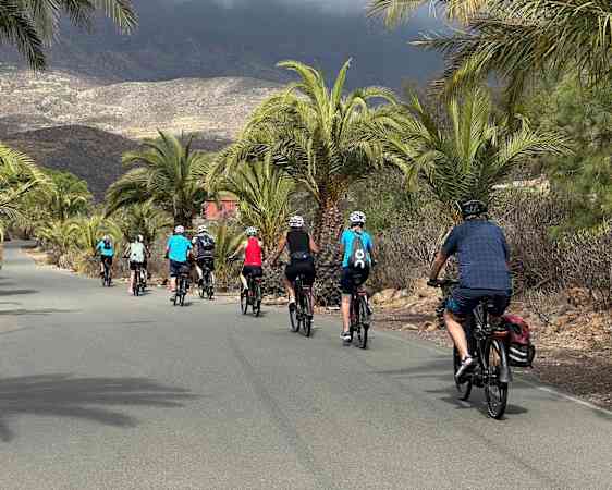 E-bike riders on tour