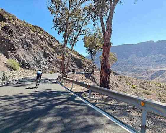 Road cyclist on downhill road