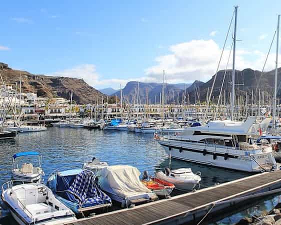 Boats in a marina