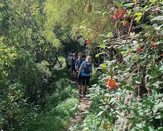 Hikers walking along path surrounded by flowers