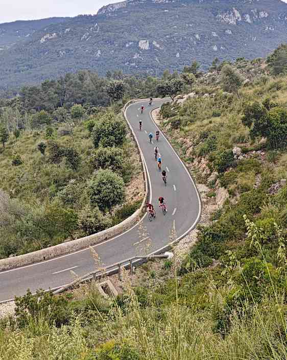 Gruppe af cykelryttere på vej ned ad bjergvej.
