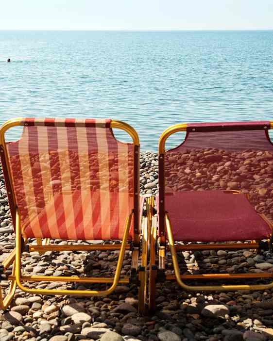 Søpapegøje. Foto: Unsplash