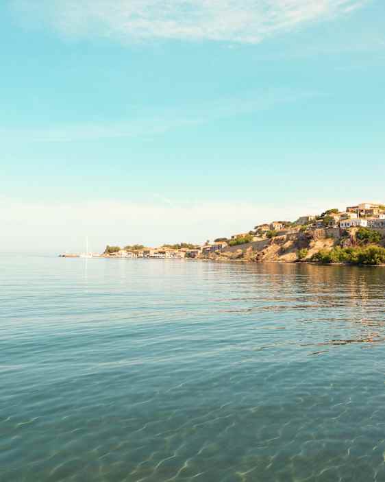 Søpapegøje. Foto: Unsplash