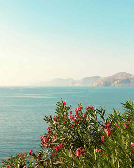 Bjerg midt i vandet. Foto: Unsplash