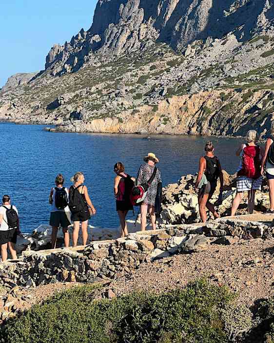 Søpapegøje. Foto: Unsplash